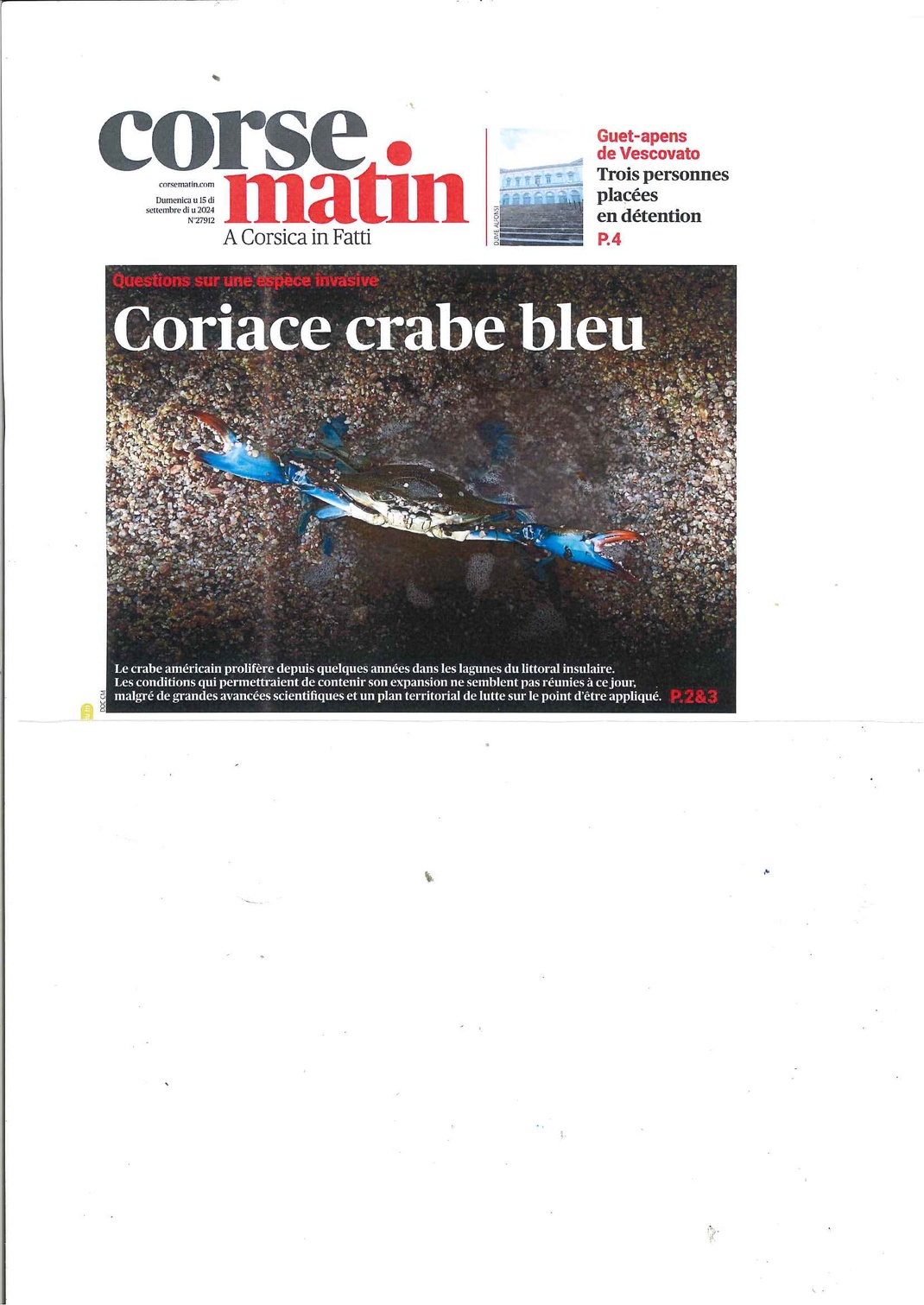 Crabe Bleu reportage du Corsica Sera en date du 27 décembre 2024